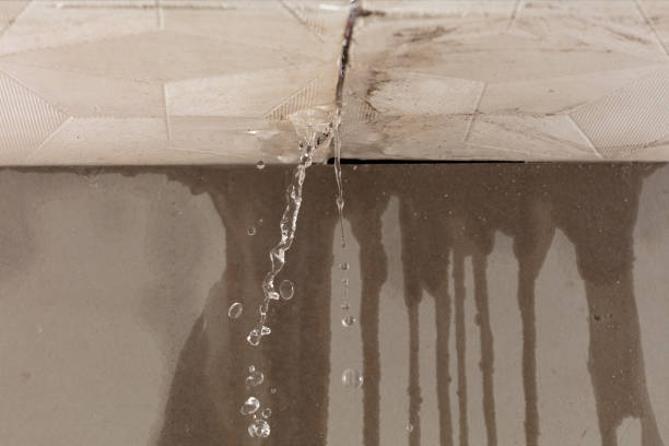 Professional Burst Pipe Cleanup technician working in Elliott, SC